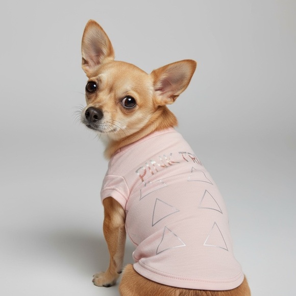 Blended Collection Other - PINK FLOYD Dog T Shirt